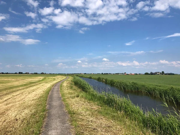 Mezőgazdasági Terület Greonterp Környékén Friesland Hollandia — Stock Fotó