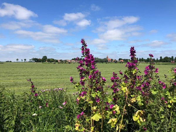 Das Dorf Easterwierrum Friesland Niederlande — Stockfoto