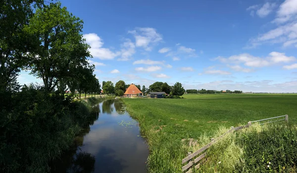 Панорама Фризського Пейзажу Нідерландах — стокове фото