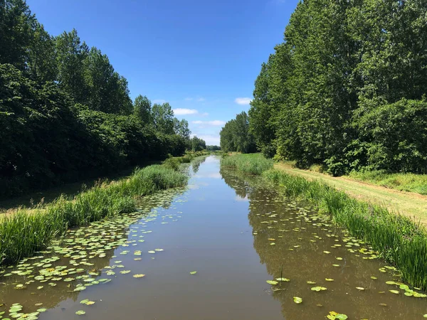 Canal Seeblatt Friesland Hollandia — Stock Fotó