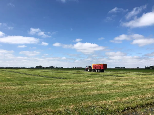 Agricultor Trabalho Friesland Países Baixos — Fotografia de Stock