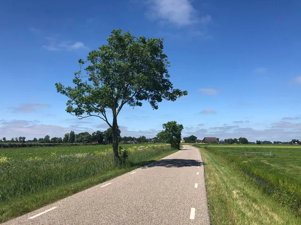 Weg Naar Burdaard Friesland Nederland — Stockfoto