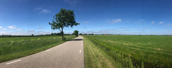 Панорама Дороги Бурдаарду Фрісленді Нідерланди — стокове фото
