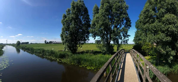 Panorama Ponte Canale Tra Bartlehiem Aldtsjerk Frisia Paesi Bassi — Foto Stock