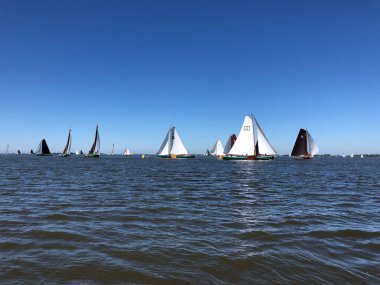 Friesland 'da bir gölde yelken açmak Hollanda' da