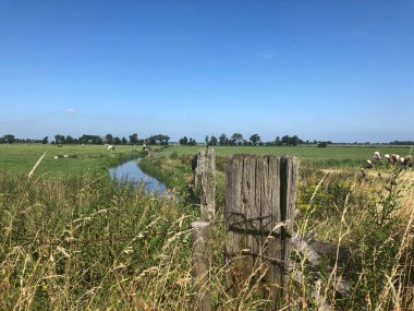 Ee, Friesland, Hollanda çevresindeki tarım arazisi