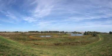Gelderland 'deki Leuth çevresindeki Doğa rezervi Hollanda 
