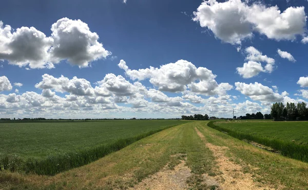 Panorama Zemědělské Půdy Okolí Boazum Frísku Nizozemsko — Stock fotografie