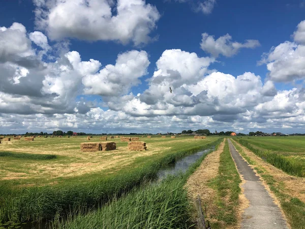 Gång Och Cykelväg Friesland Nederländerna — Stockfoto