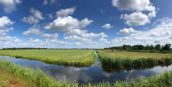 Озил Фермы Вокруг Эрневальда Фрисландии Нидерланды — стоковое фото