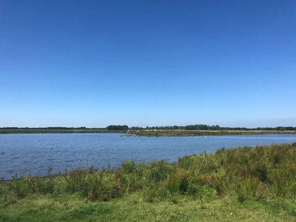 Zwagermieden Nature Reserve Friesland Netherlands — Stock Photo, Image