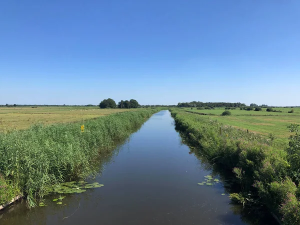 Canal Körül Pingmar Friesland Hollandia — Stock Fotó