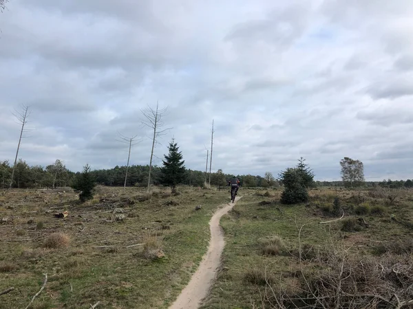 Ciclismo Nationaal Park Drents Friese Wold Frisia Países Bajos — Foto de Stock