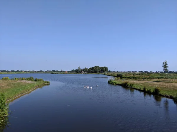 Innsjøen Rundt Heerenveen Friesland Nederland – stockfoto