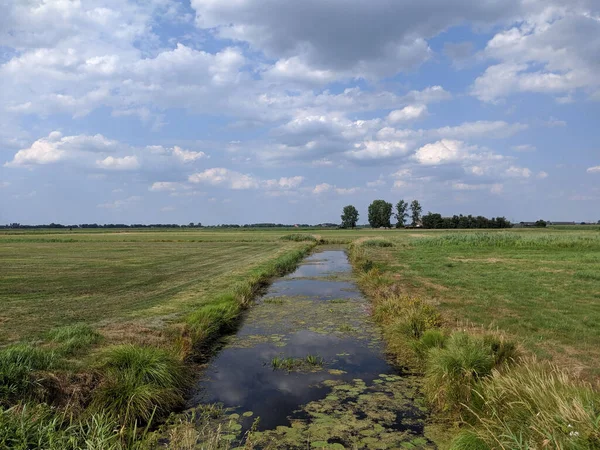 フリースラントのオルデラマー周辺の農地 Oreland — ストック写真