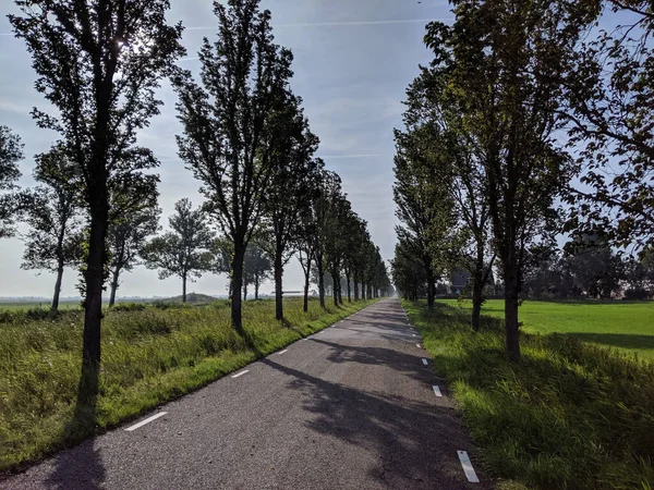 Straße Richtung Follega Morgen Friesland Niederlande — Stockfoto