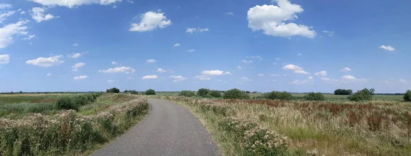 フリースラントのNijetrijne周辺の道路と農地 Ortherland — ストック写真