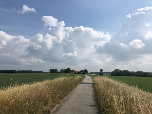 Landschaft Rund Olburgen Den Niederlanden — Stockfoto