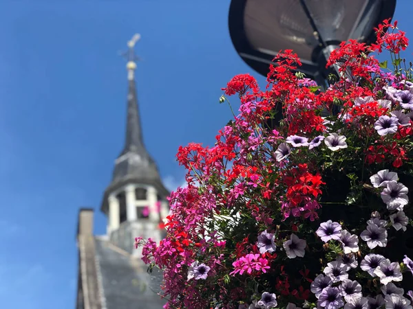 Blommor Lykta Zevenaar Nederländerna — Stockfoto