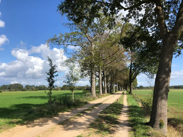 Sandväg Runt Zelhem Gelderland Nederländerna — Stockfoto