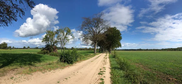 Zelhem Gelderland Hollanda Çevresindeki Kum Yolu — Stok fotoğraf