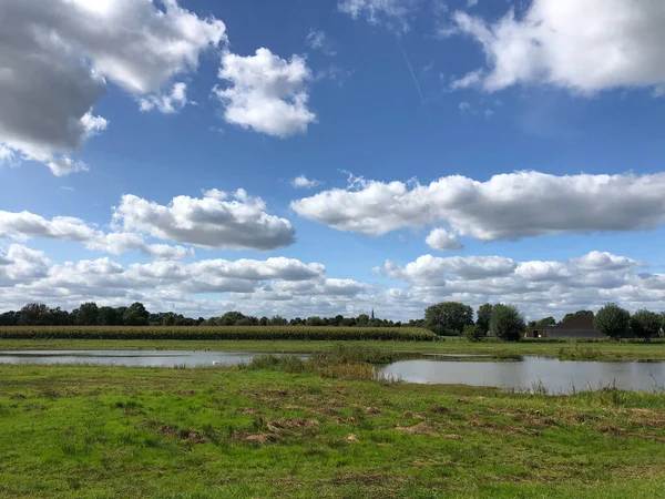 Terrenos Agrícolas Cerca Gendringen Países Bajos — Foto de Stock