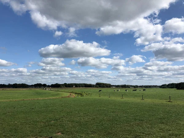 Terras Agrícolas Torno Fronteira Holandesa Alemã Gendringen Países Baixos — Fotografia de Stock