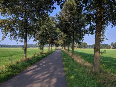 Hollanda 'da Linde Yolu