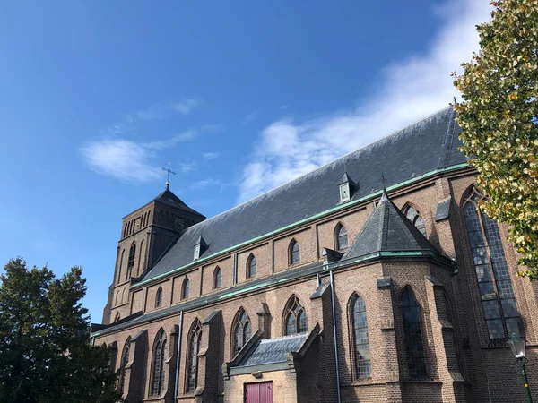 Saint Martin Kilisesi Pannerden Gelderland Hollanda — Stok fotoğraf