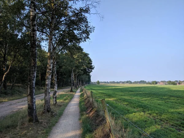 Ścieżka Rowerowa Wokół Haarle Holandii — Zdjęcie stockowe