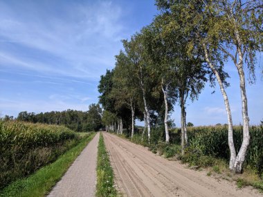 Nijverdal, Hollanda çevresinde bisiklet yolu ve kum yolu