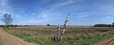 Nijverdal, Hollanda 'daki Manzara