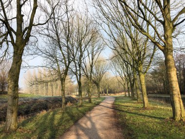 Sneek 'teki Belediye Başkanı Rasterhoffpark' a giden yol