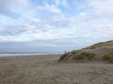 Hollanda 'daki Texel Adası' nda plaj