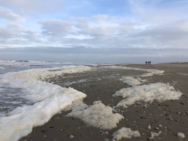 Hollanda 'daki Texel plajında köpük.