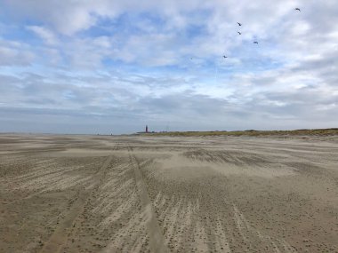 Hollanda 'da deniz feneri olan Texel Plajı