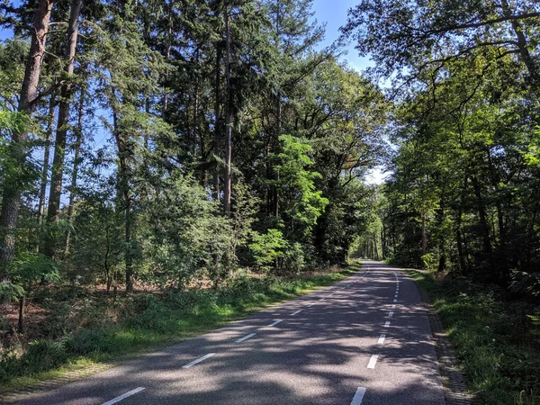 オランダのツーベルゲン周辺の道路 — ストック写真