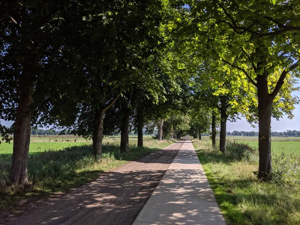 Radweg Rund Rijssen Den Niederlanden — Stockfoto