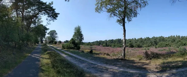 Panorama Reserva Natural Torno Giethmen Overijssel Países Baixos — Fotografia de Stock