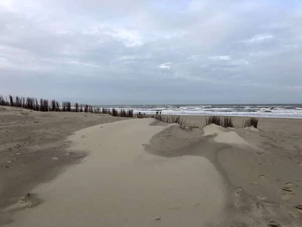 Plage Sur Texel Aux Pays Bas — Photo