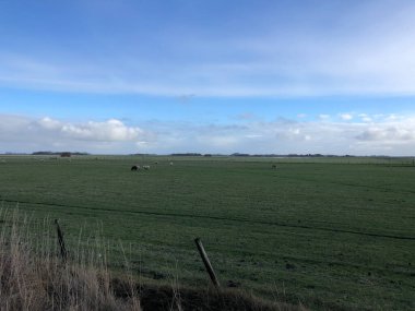 Hollanda 'daki Texel Adası