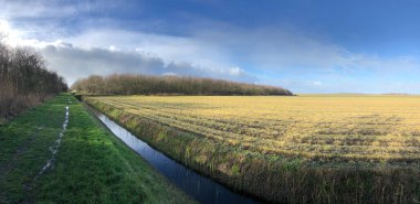 Hollanda 'daki Texel Adası' ndan Panorama manzarası