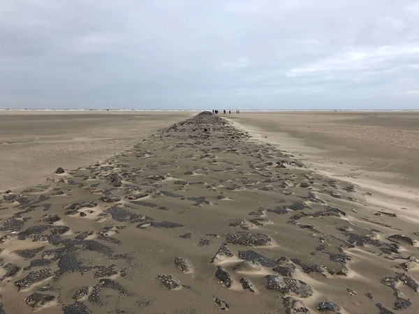 Plaża Texel Holandii — Zdjęcie stockowe