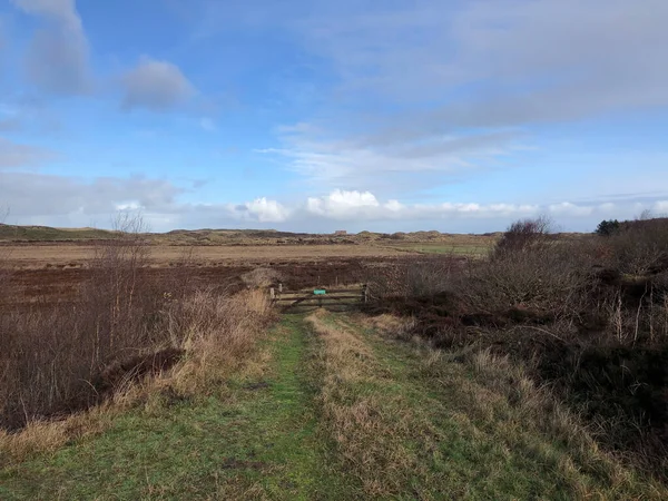 Insel Texel Den Niederlanden — Stockfoto