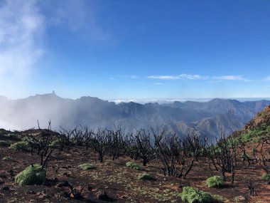 Gran Canaria 'nın arka planında Roque Nublo olan vadiden gelen sis.