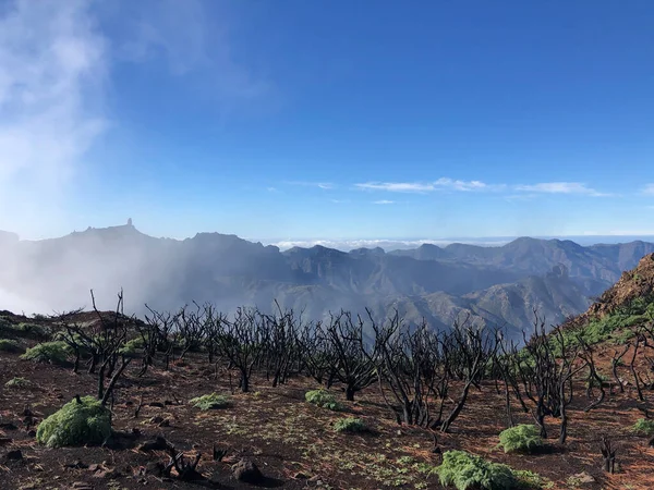 Nebbia Dalla Valle Con Roque Nublo Sullo Sfondo Gran Canaria — Foto Stock