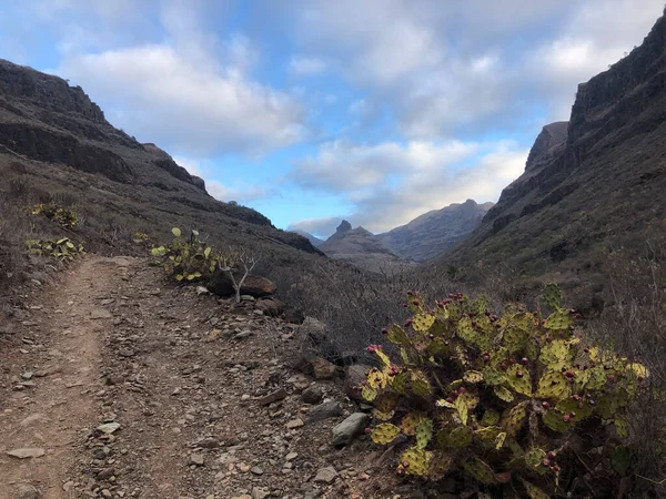 Sendero Hacia Ayagaures Gran Canaria — Foto de Stock