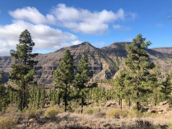 Paisajes Alrededor Embalse Gambuesa Gran Canaria —  Fotos de Stock