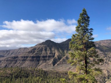 Gran Canaria 'nın manzarası