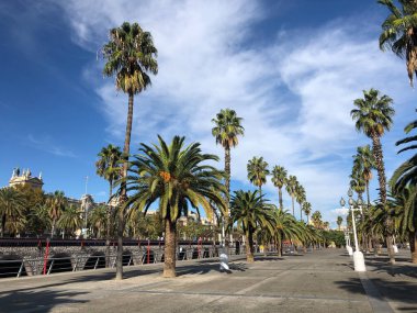 İspanya 'nın Barselona limanı çevresindeki bulvar.